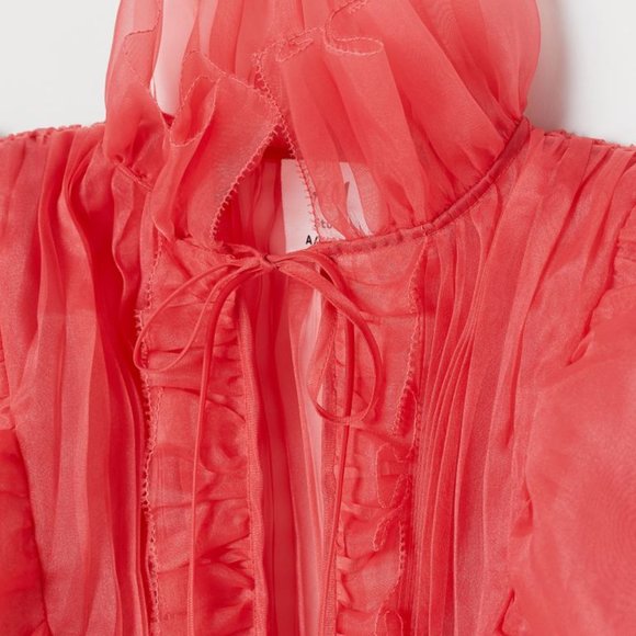 H&M Studio Collection Flounced Organza Blouse - Co - Picture 4 of 4